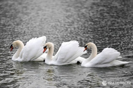 ������ �� ����� ����������� ������