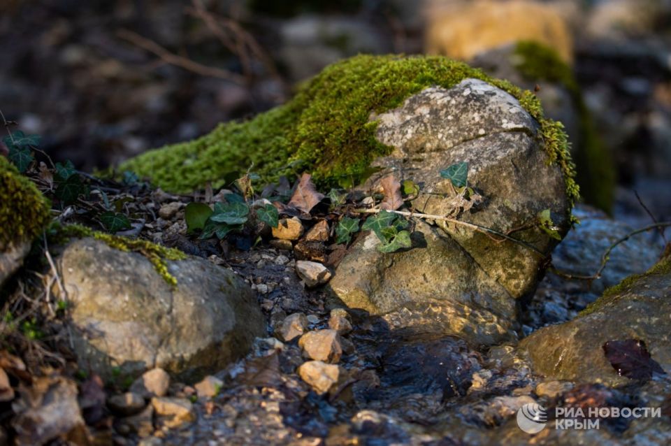 Погода на новых территориях России