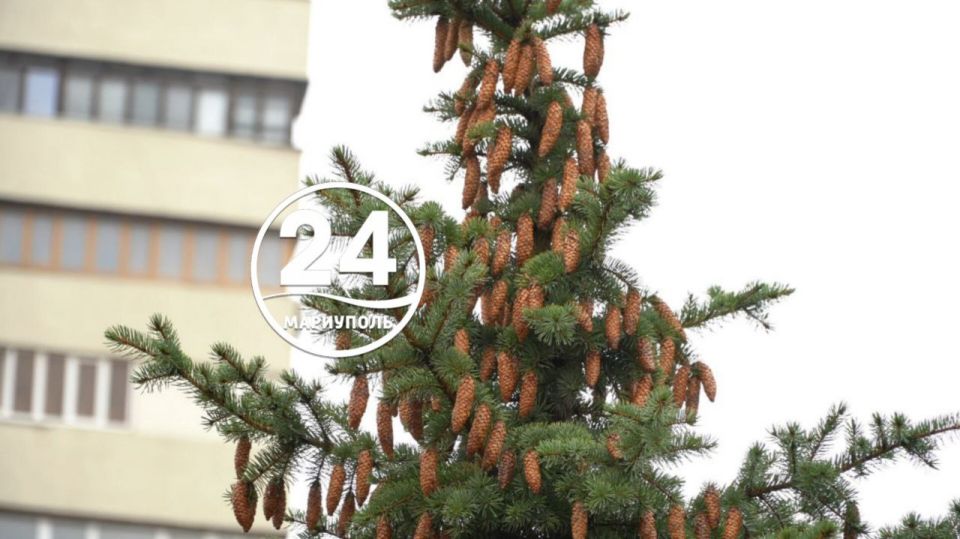 С добрым утром, Мариуполь!