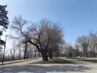 ������������� �������-�������� ������ � ������������ ������