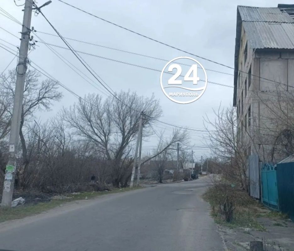 ����� ��������. ����������