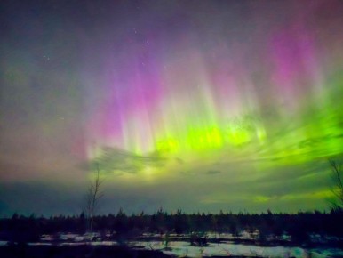 Полярное сияние наблюдают жители России в эти минуты — кадрами делятся из Москвы, Петербурга, Нижнего Новгорода, Екатеринбурга и других городов