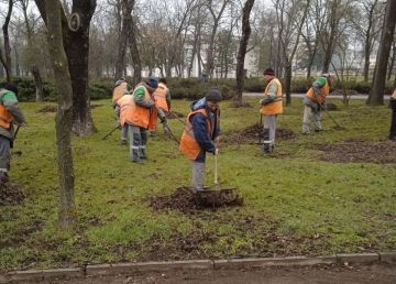 В Мариуполе коммунальщики продолжают весеннее благоустройство зеленых зон