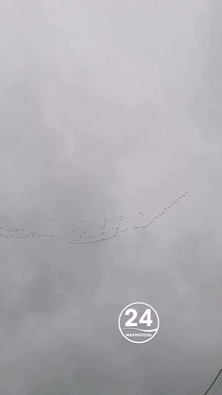 ��������� ����, ���������!