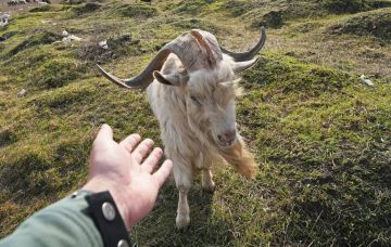 � ���������� ������������ ��������� �� ������ ����� ������� ������� ����� ��� �� ����� � ������������� � ������� ������� �� ������ ����