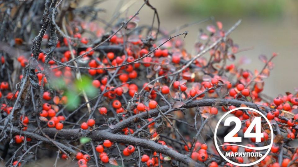 С добрым утром, Мариуполь!