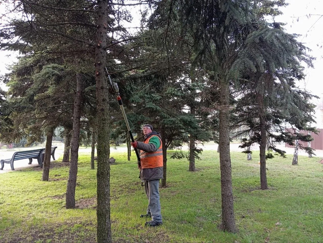 В Приморском парке рабочие зеленого строительства ведут санитарную обрезку деревьев