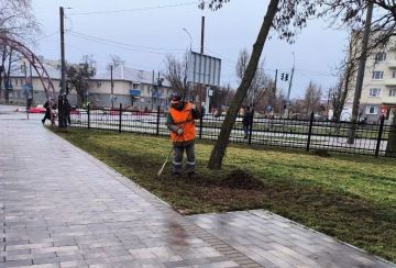 В Мариуполе коммунальщики ведут уборку зеленых зон