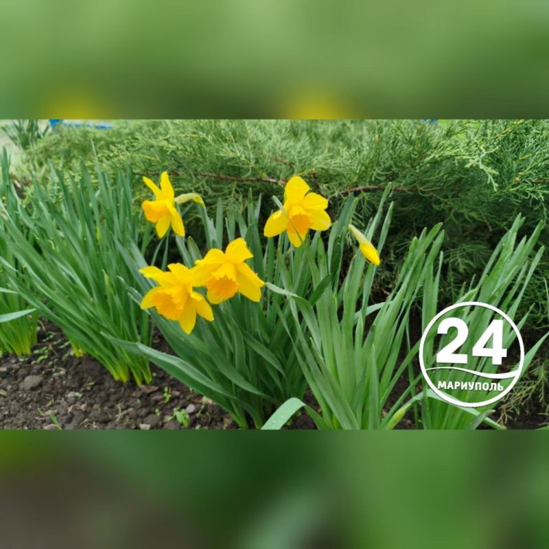 ��������� ��������� ������!