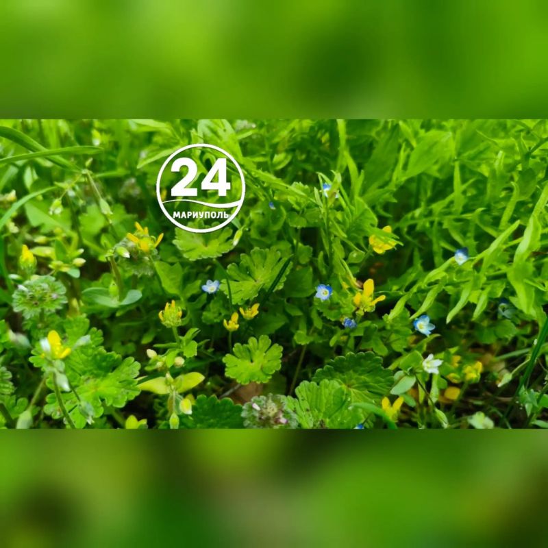 � ��������� ��������� ������������ ������� �����