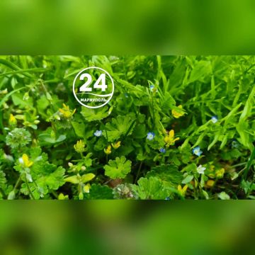 � ��������� ��������� ������������ ������� �����