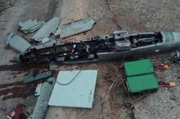 «Купол Донбасса» перехватил над Мариуполем ударный дрон «Darts»