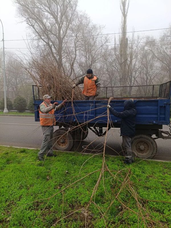 ������������� ����������� ������� ���� �� ������������� ������