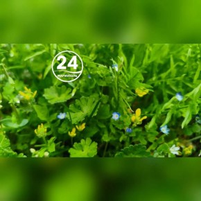 С добрым утром, Мариуполь!