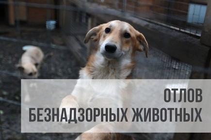 ��� ���� � �����: �������� �����������, � �� ��������