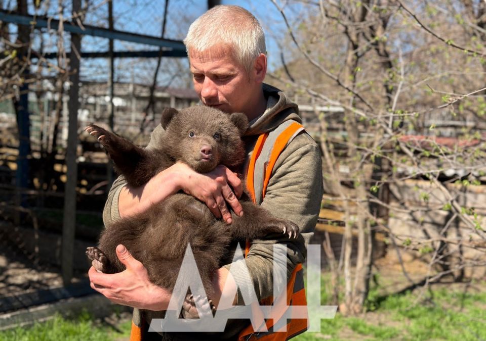 В Мариупольском зоопарке пополнение: увидел новых обитателей