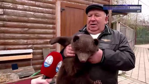 О братьях наших меньших. Медведь - символ России