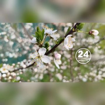 �������� ���������: ���������� ����� � �������� ����