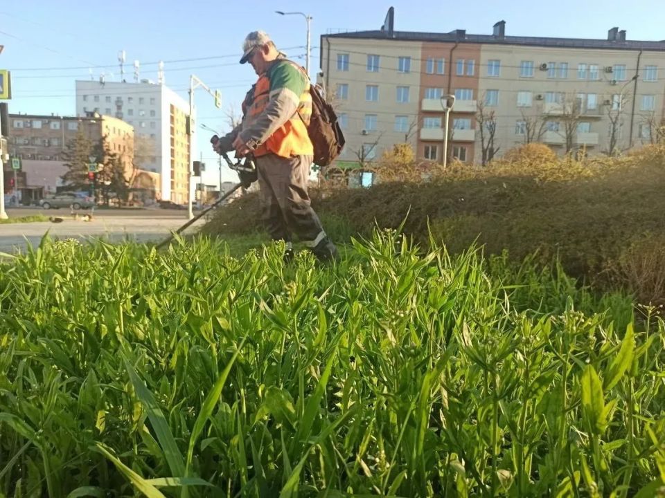 ������� �������� ������������� ���������� � ������ �����