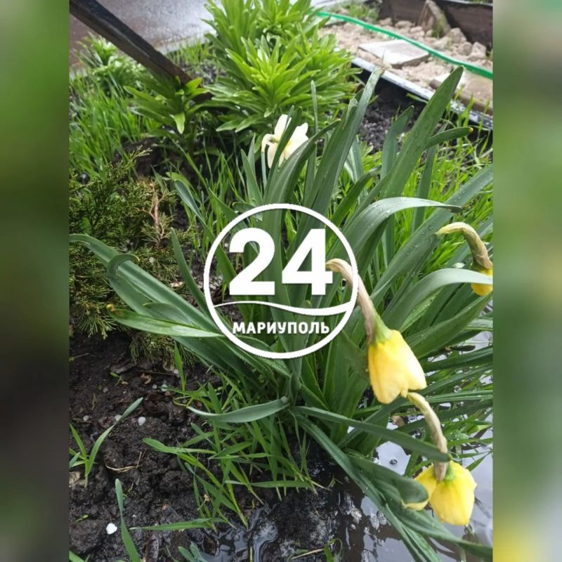 �������� � ��������� ���� ����� �����