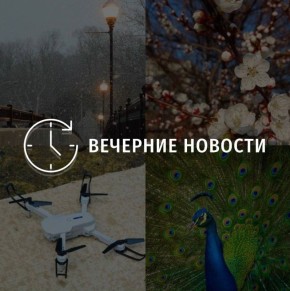Главные новости в Донецке на этот час — что происходит в городе и республике: