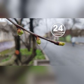 Спокойной ночи, Мариуполь!