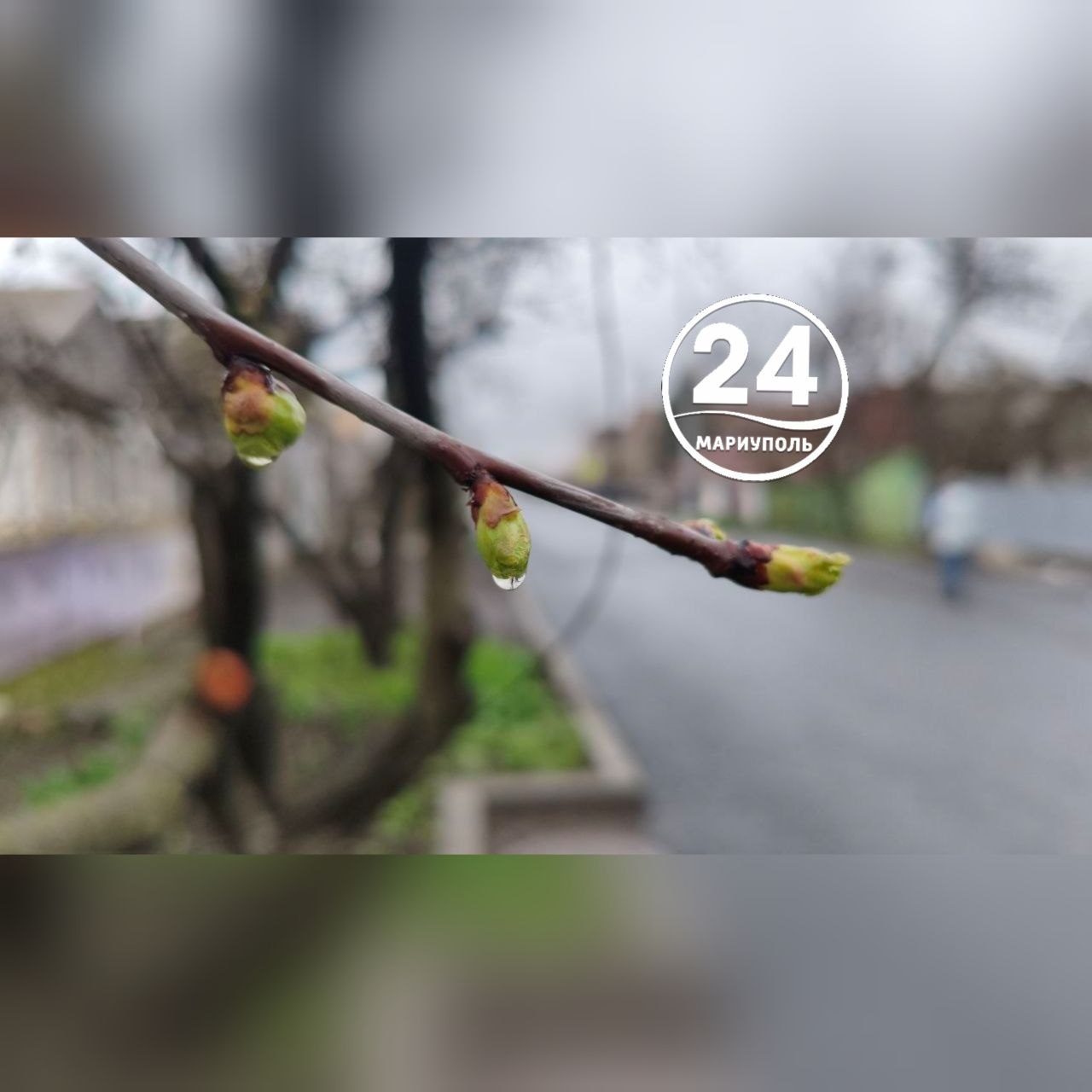 Спокойной ночи, Мариуполь!