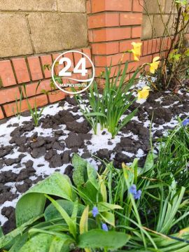 Весна решила устроить проверку на прочность