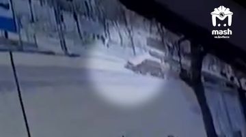 ����� ���� ������� ����� ���������� ��������� � ���������