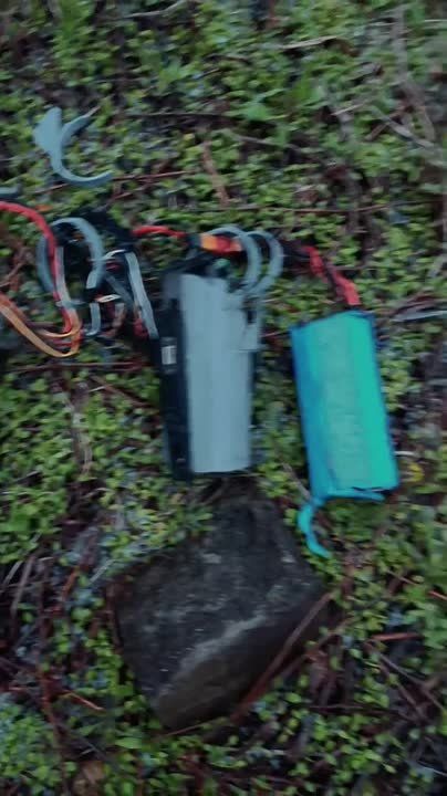 "����� ��������" ������� ���������� ������� ���� "���" ��� ��������