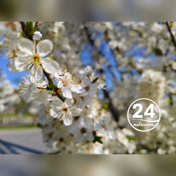 � ������ �����, ���������!