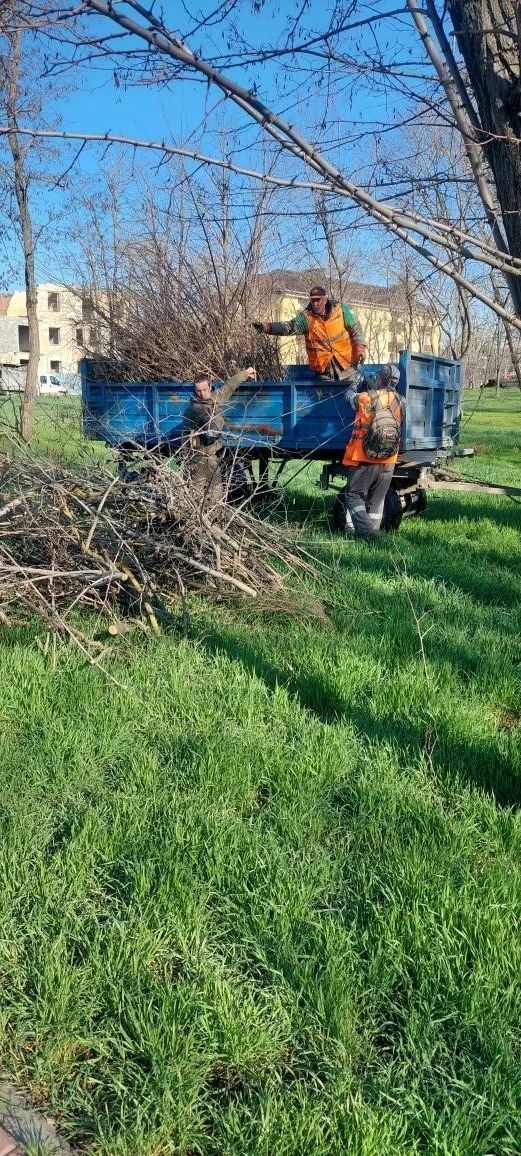 Зеленые зоны Мариуполя освобождают от растительного мусора