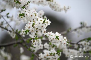 ������ �� ����� ����������� ������