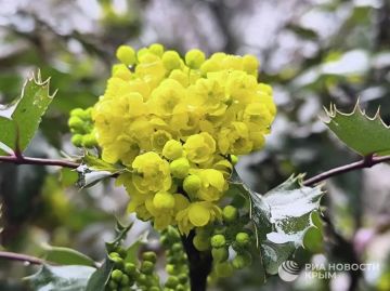 ������ �� ����� ����������� ������