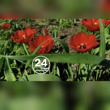 � ��������� - �������� �����