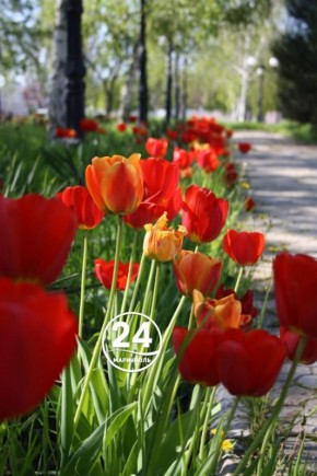 � ������ �����, ���������!