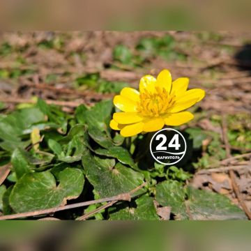 ������ ����, ���������!. ����� ���� ���� �������� � �������� ����������, ������ ������, �������� �������� � ���������� �������