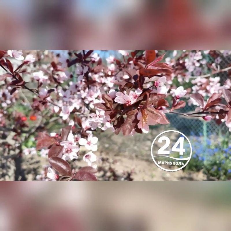 �������� �������� � ���������