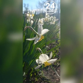 � ������ �����, ���������!