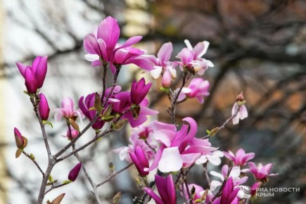 ������ �� ����� ����������� ������