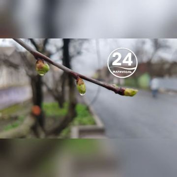 ��������� ����, ���������!