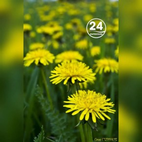 � ������ �����, ���������!