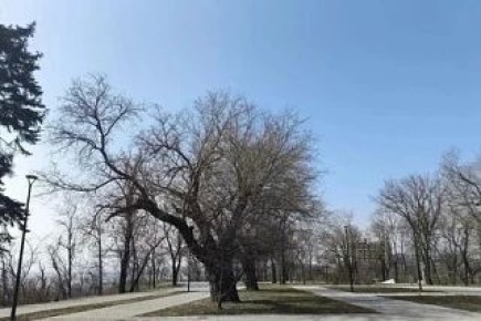 ��� ��������� ��������� � ��������� �������� ������������ ����������