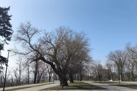 ��� ������������� ��������� ������ �� ������������� ������ ������ ��������