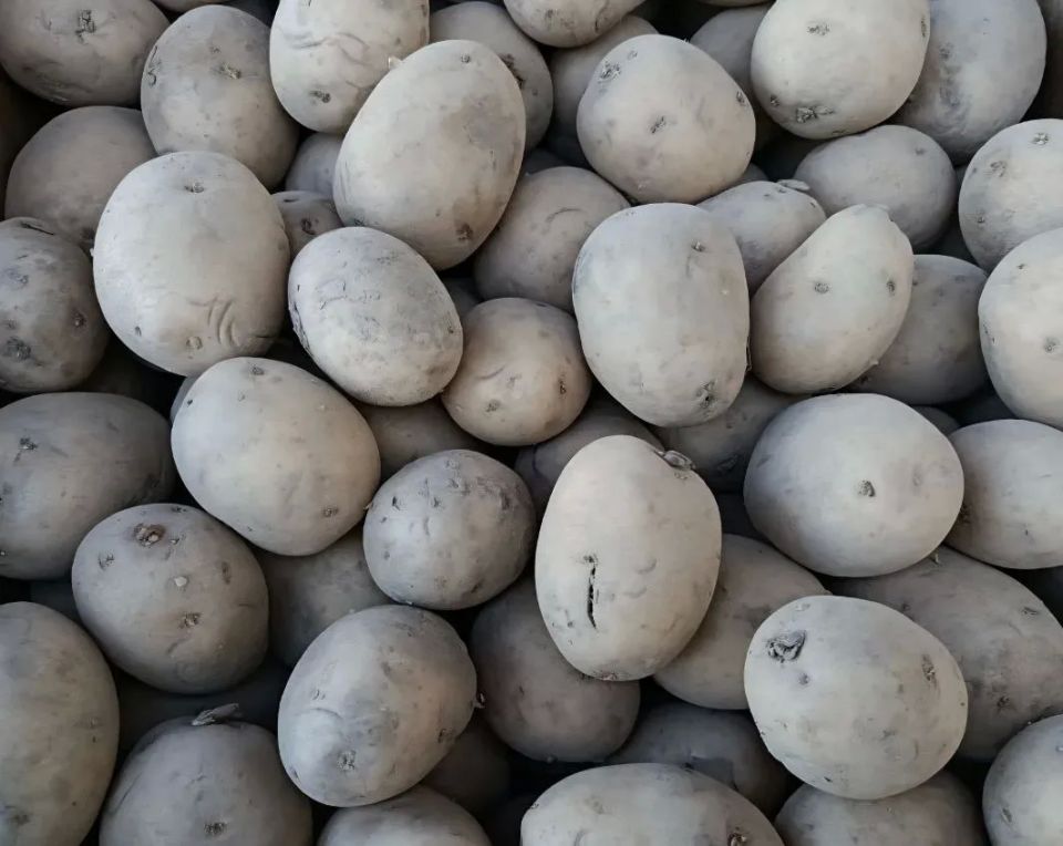 ������������� ������� � ������ ���������