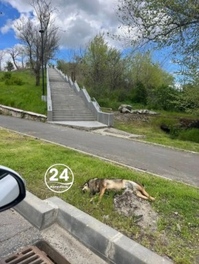 ����� ��������. �� ������� �������� �������� � ���������� ���� ��� 2 ������ ����� ������� ������� ������