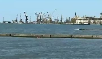 ��� ��������, � ��������� ������� ������� ������� �����