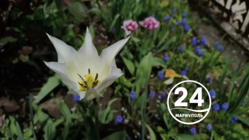 � ������ �����, ���������!