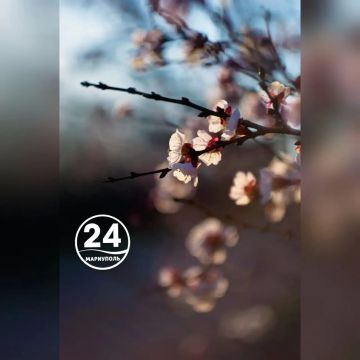 ��������� ����, ���������!