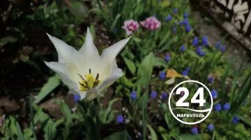 � ������ �����, ���������!